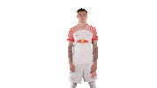 Football What Sticker by RB Leipzig