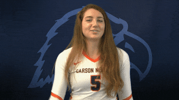 Cnvb Cnvb2019 GIF by Carson-Newman Athletics
