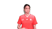 Link Switzerland Sticker by Swiss Football Association