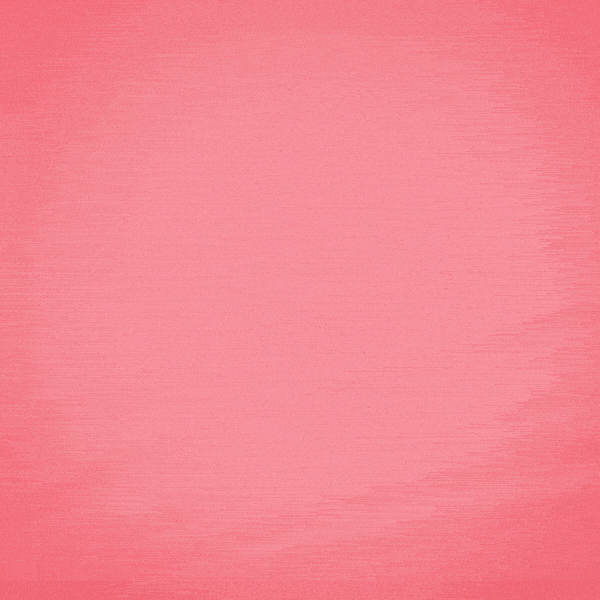 bevlak giphyupload GIF