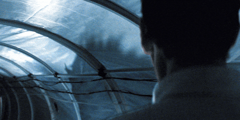 Shadow Creature GIF by A24