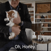 Oh Honey Cat GIF by The Democrats