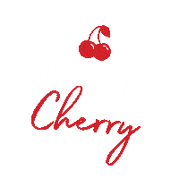 fort worth fashion Sticker by Cherry