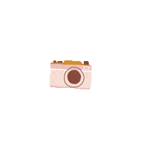 Camera Sticker