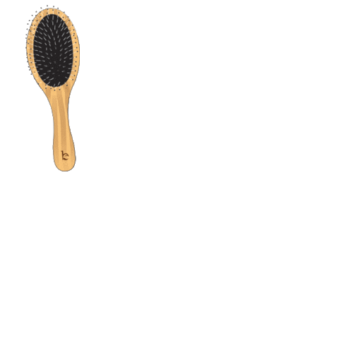 Brush Clean Beauty Sticker by Beauty by Earth
