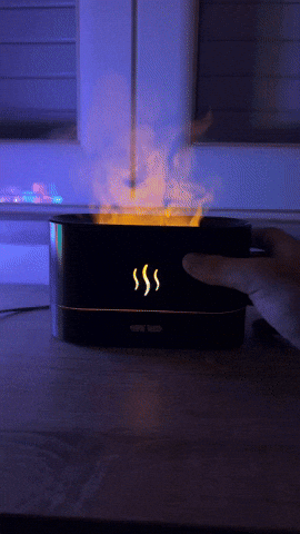 GIF 1
