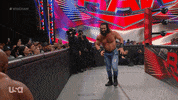 Sport Wwe GIF by USA Network