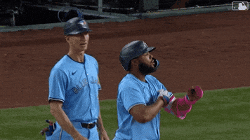 Vladimir Guerrero Jr Baseball GIF by Toronto Blue Jays