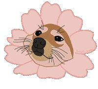 Shiba Inu Dog Sticker by Regina Awang