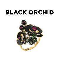 Black Orchid Gift Sticker by Roberto Bravo