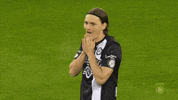 Oh My God Wow GIF by SK Sturm Graz