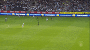 Goal Tor GIF by SK Sturm