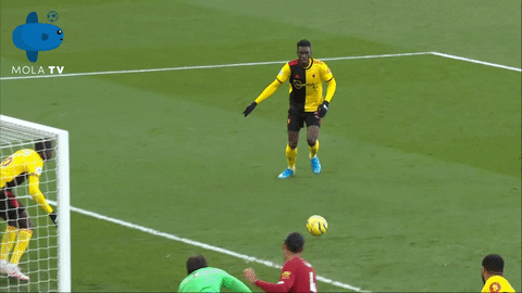 Liverpool Watford GIF by MolaTV