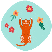 Cat Puppy Sticker by BanfieldPetHospital
