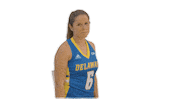 field hockey ncaa Sticker by Delaware Blue Hens