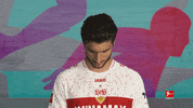Vfb Stuttgart Football GIF by Bundesliga