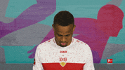 Vfb Stuttgart Football GIF by Bundesliga