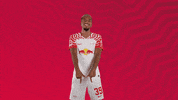 Oh Yeah Dancing GIF by RB Leipzig