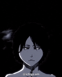 Bleach GIF