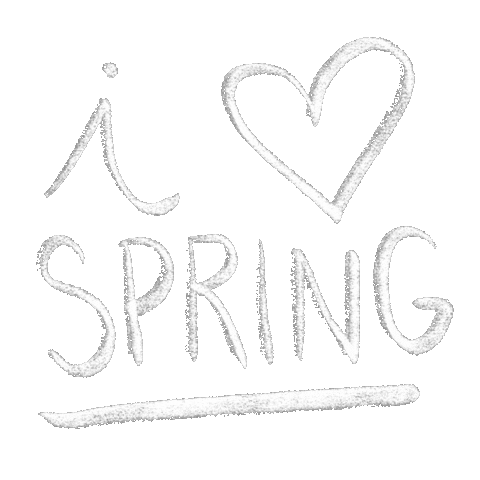 Spring Vibes Sticker