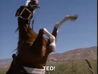 hey dude nicksplat GIF