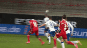 Football Soccer GIF by FC Schalke 04