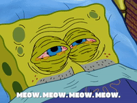 season 8 episode 22 GIF by SpongeBob SquarePants