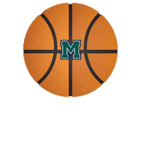 Hurstathletics Sticker by MercyhurstU