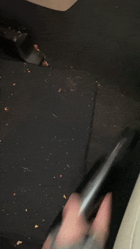 GIF by BuzzFeed