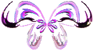 Butterfly Sticker