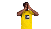 France Hello Sticker by Bundesliga