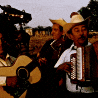 GIF by PBS Digital Studios