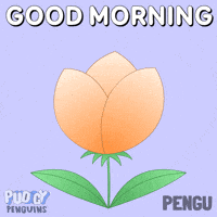 Good Morning GIF by Pudgy Penguins