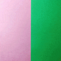 candy evan hilton GIF by Trolli