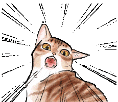 Cats What Sticker