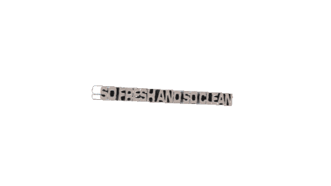 Sofreshsoclean Sticker by Soap Seoul