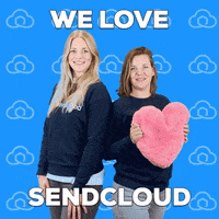 Team Love GIF by Sendcloud