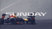 formula one f1 GIF by Engineered Insanity