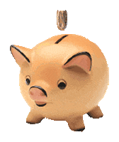 piggy STICKER