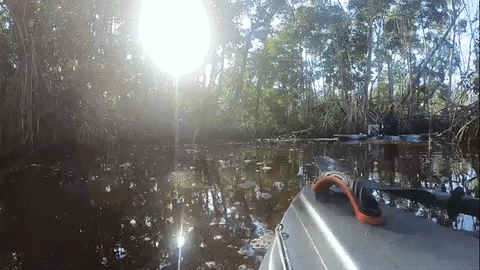 Rural_fisherman giphyupload GIF