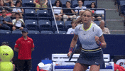 Panova GIF