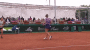 Panova GIF