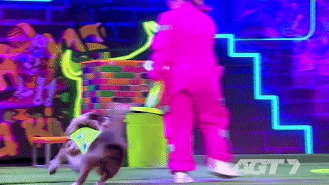 Talent Gottalentau GIF by Channel 7