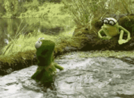 the muppet show GIF