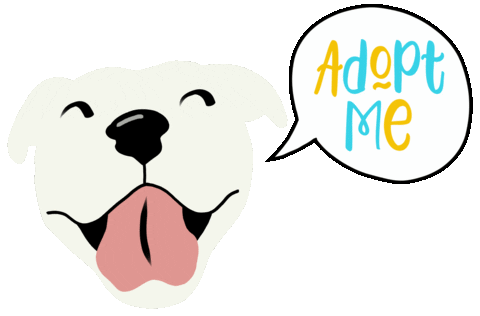 Adopt Pit Bull Sticker by HeARTs Speak