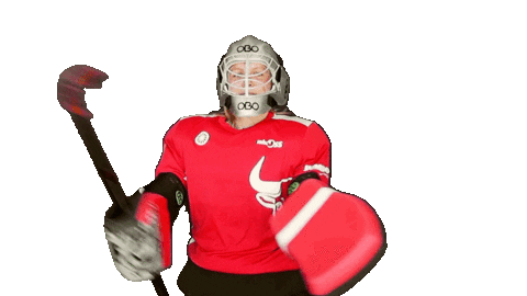 Fieldhockey Sticker by coelen