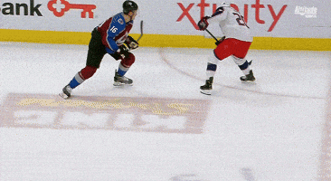 ice hockey GIF by Colorado Avalanche