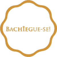LojaBachiegaNovidades bachieganovidades Sticker