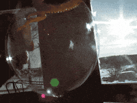 bubble freeze GIF