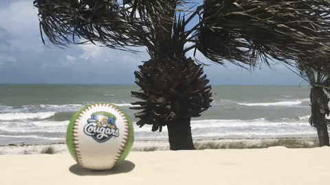 Kccougars GIF by Kane County Cougars